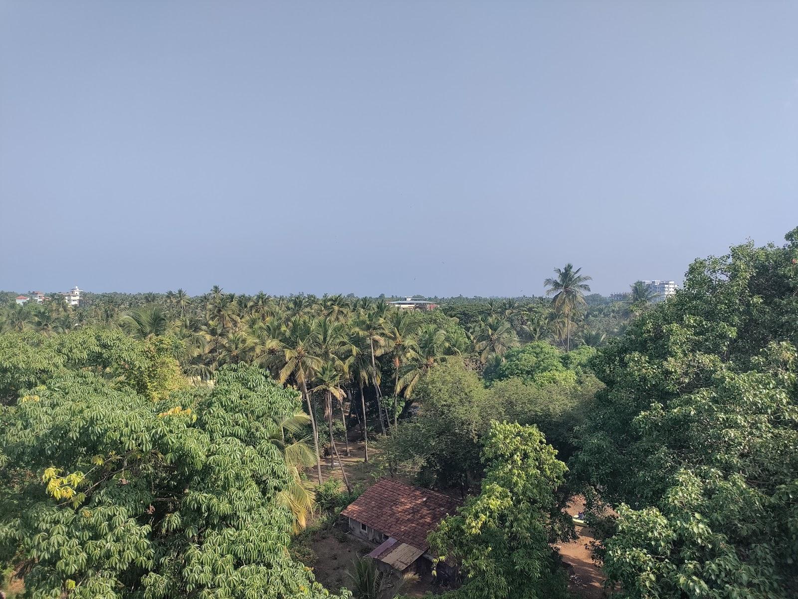 MALVAN SINDHUDURG – photo 4