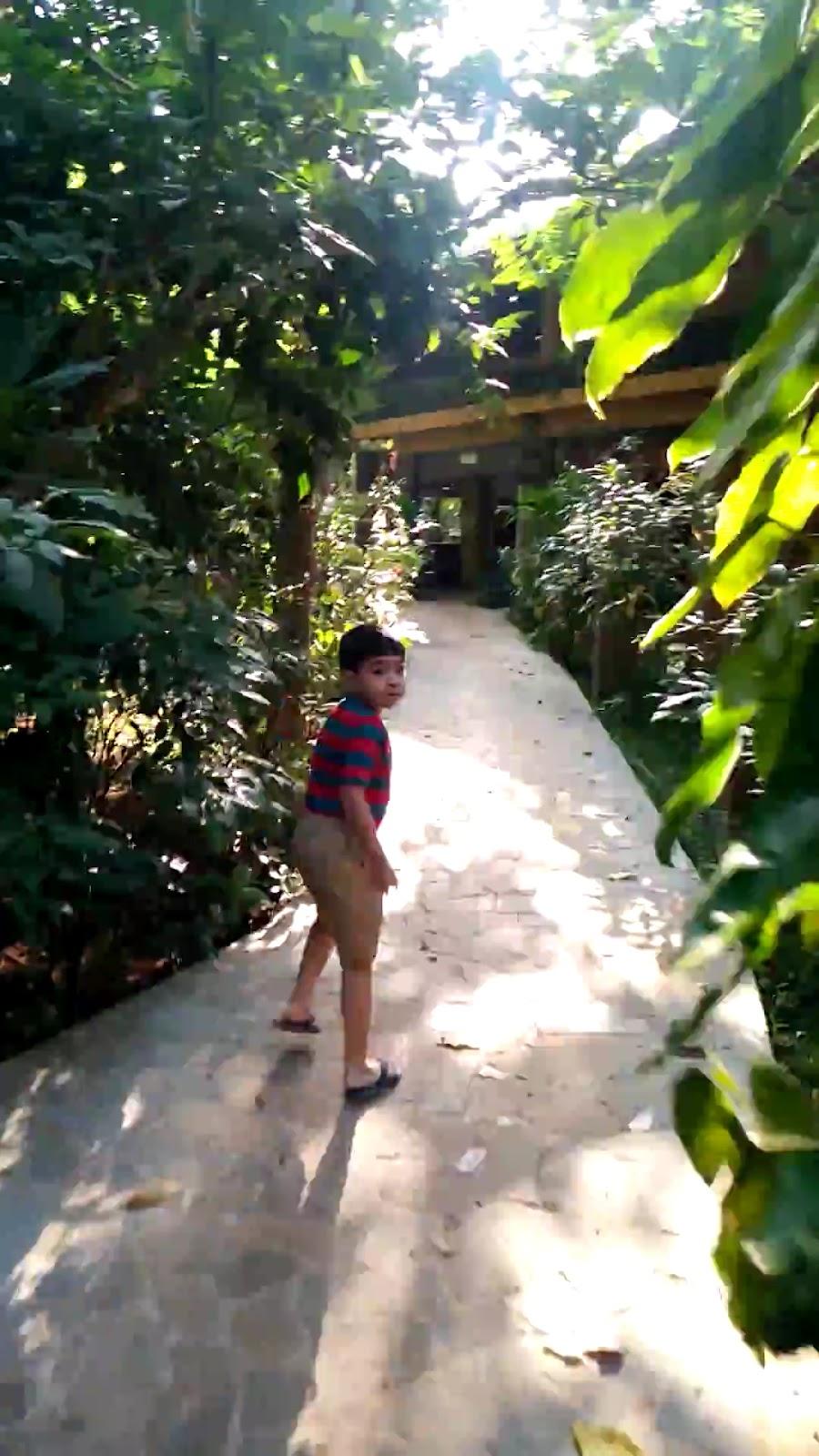 Wild Woods Resort – photo 2