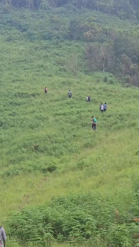 Malgudi Homestay - Agumbe – photo 4