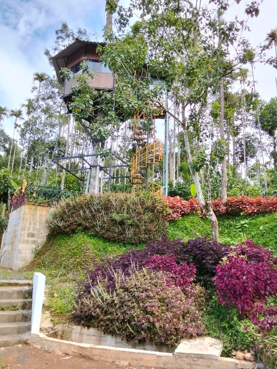 Lilliputhaven homestay