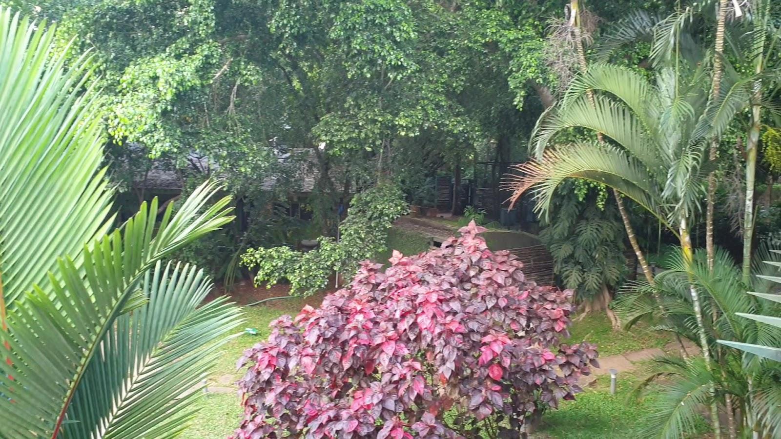Waterwoods Lodge, Kabini – photo 2