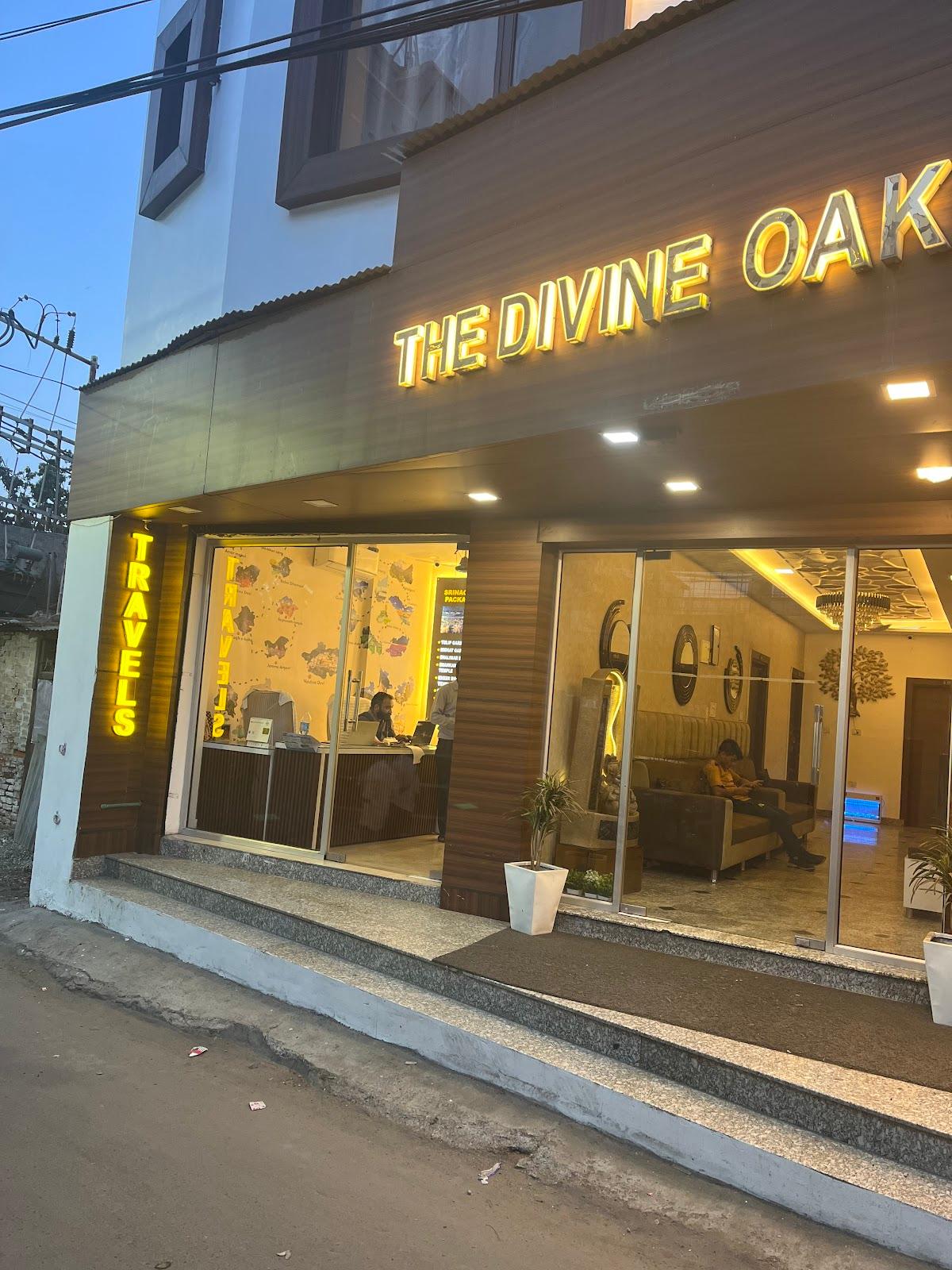 The Divine Oak – photo 1