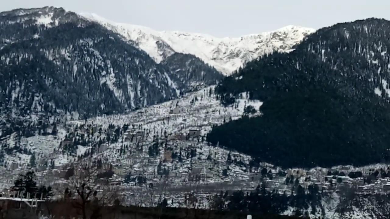 Snow country manali Hotel – photo 2