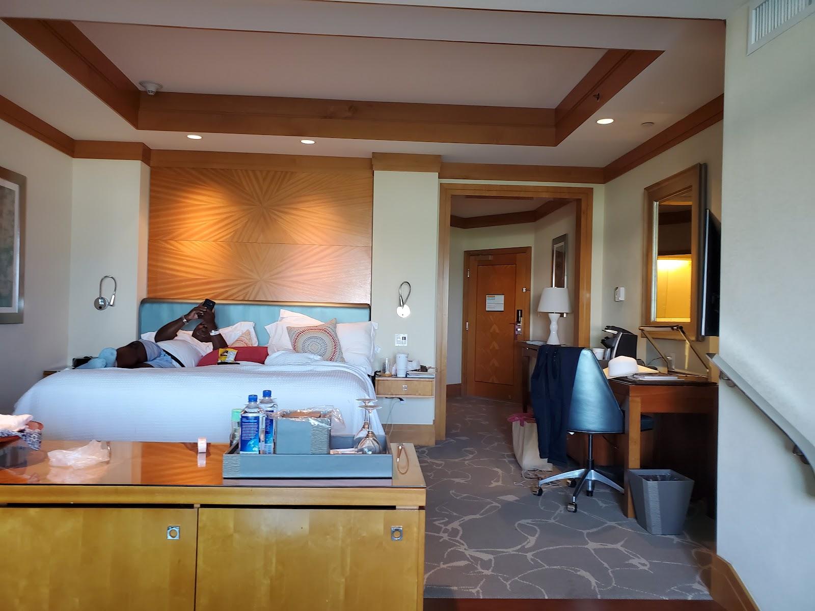 The Cove at Atlantis – photo 3