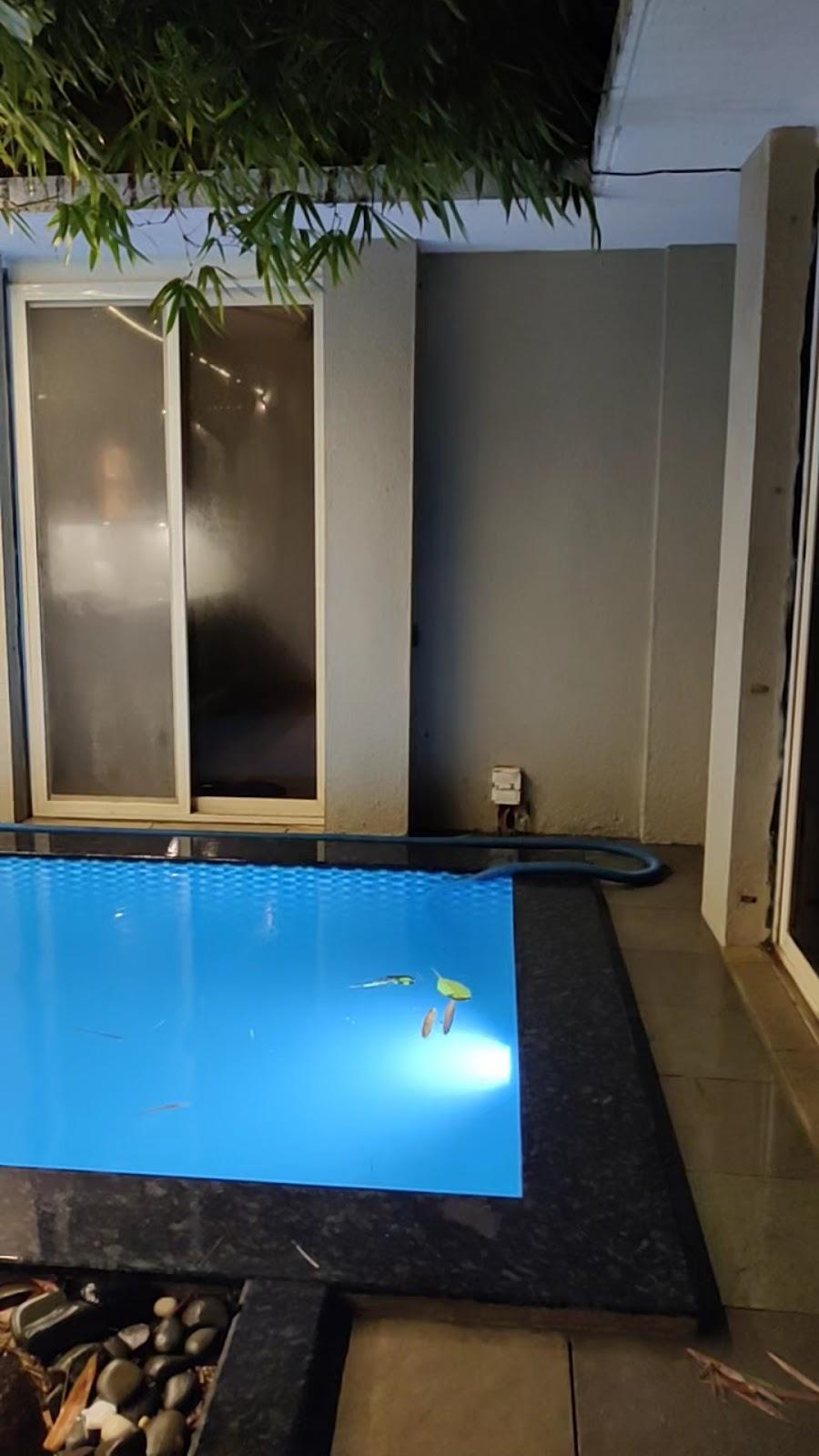 Privy Stays- Green Palm Villa – photo 2