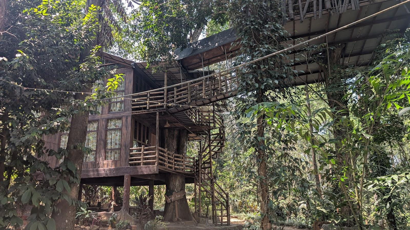 Jungle Jive Tree House – photo 1