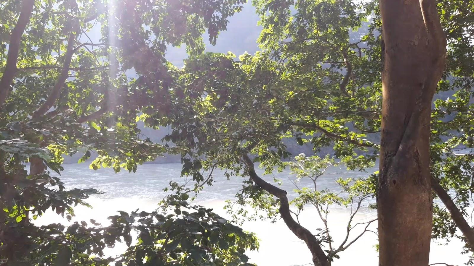 Namami Ganges Beach Resort & SPA – photo 3