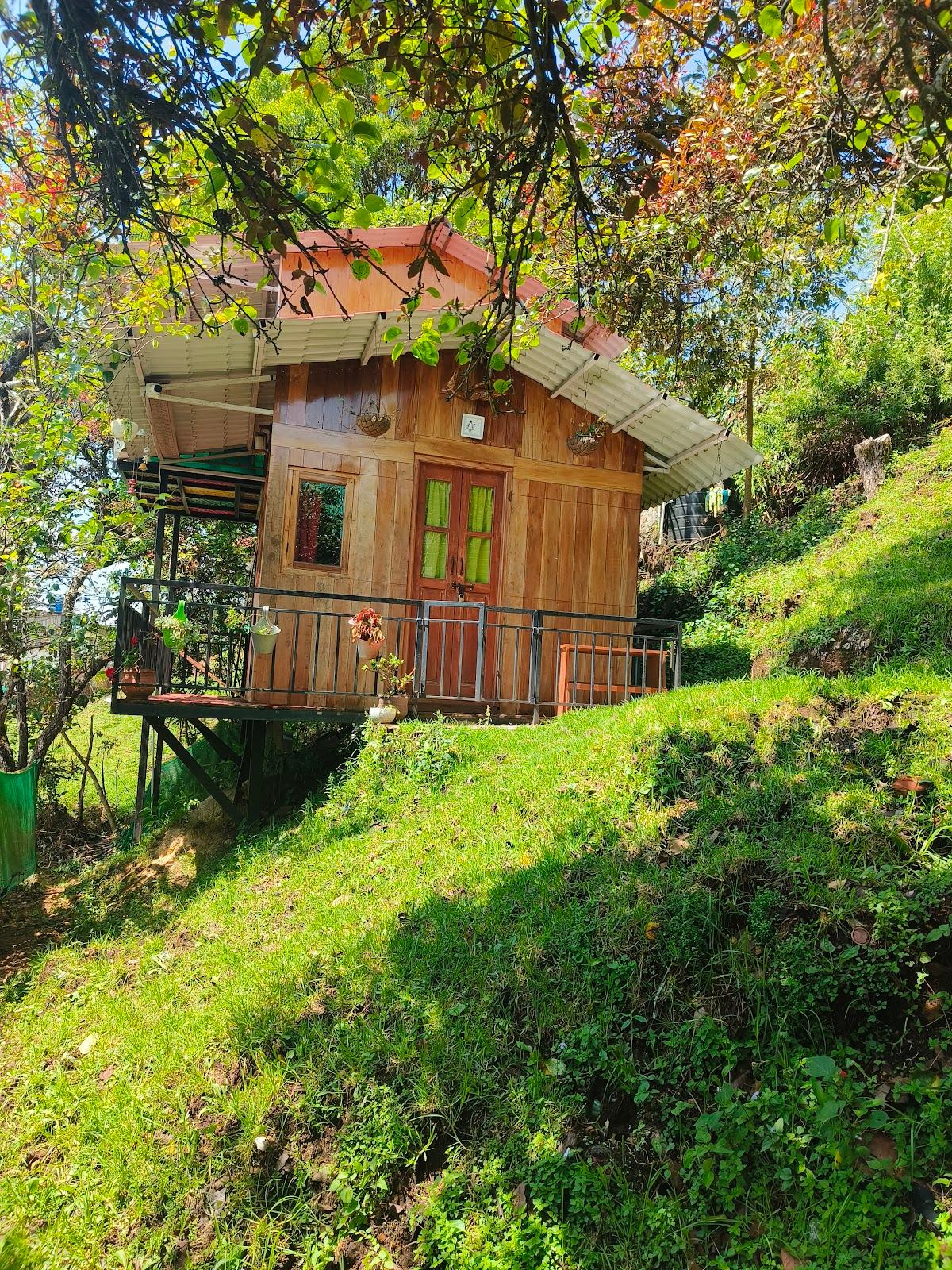 Wooden cabin 3.0 – photo 2