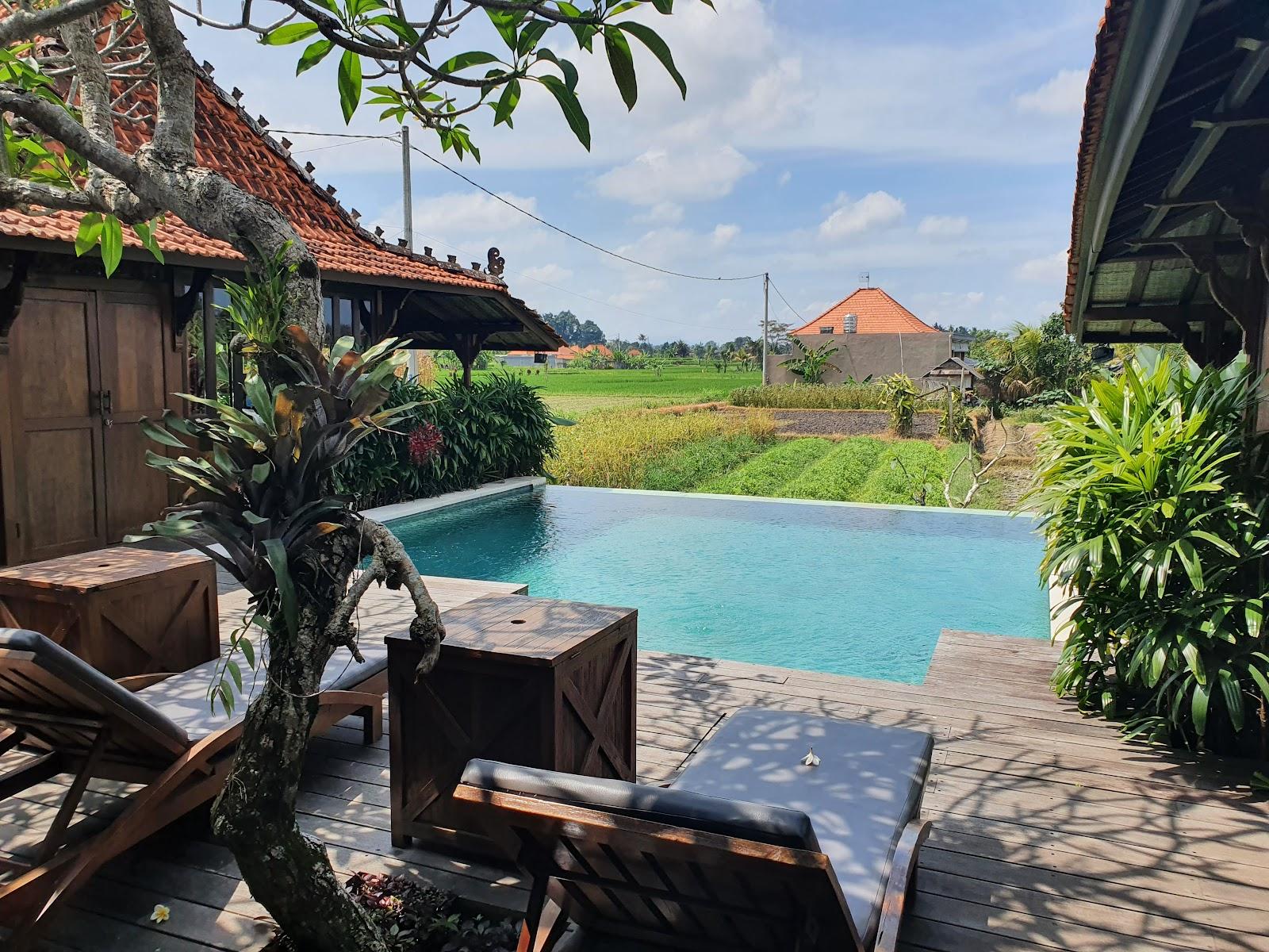 Villa D'Carik, Ubud – photo 3