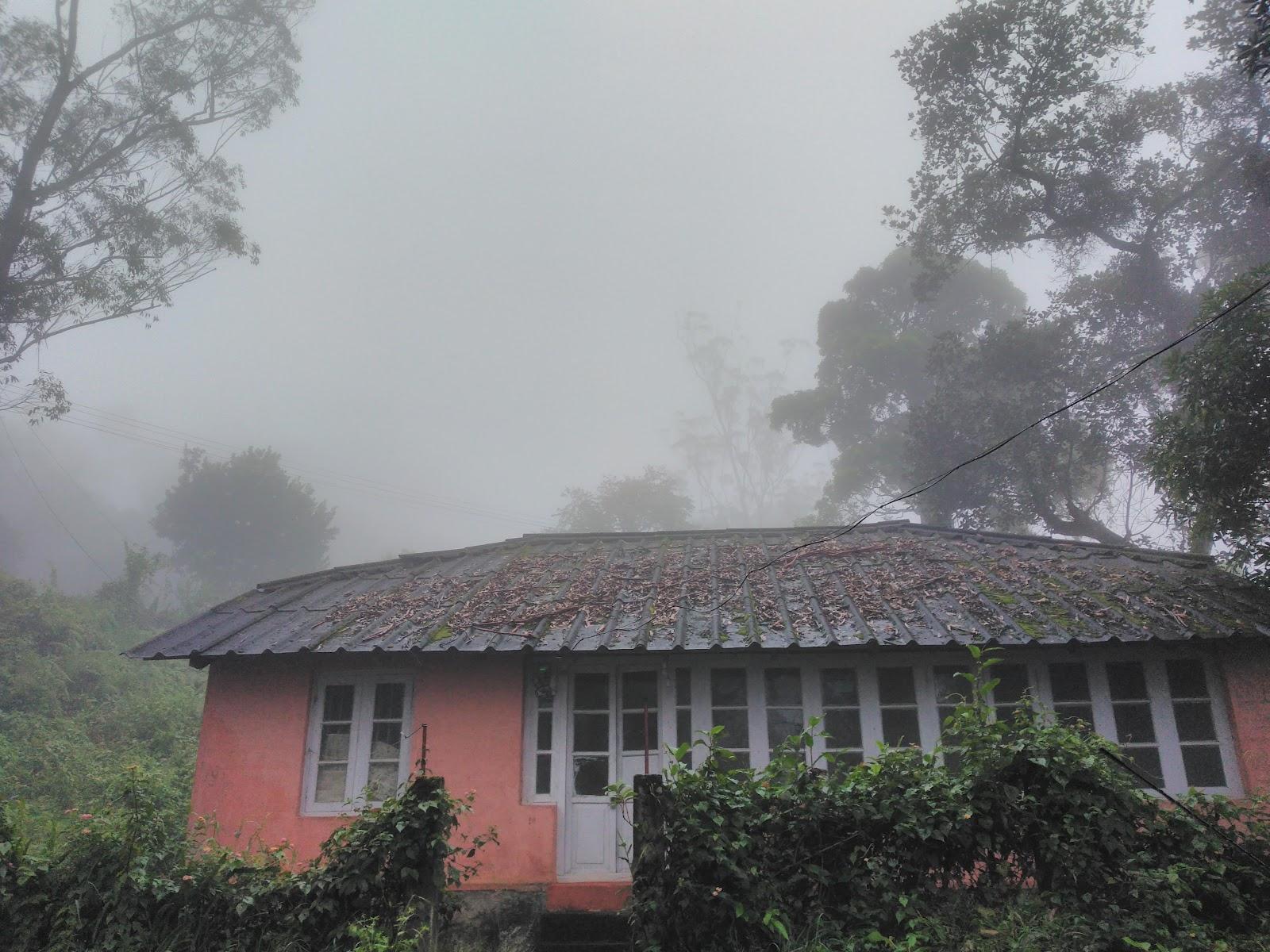 Munnar Treehouse – photo 4
