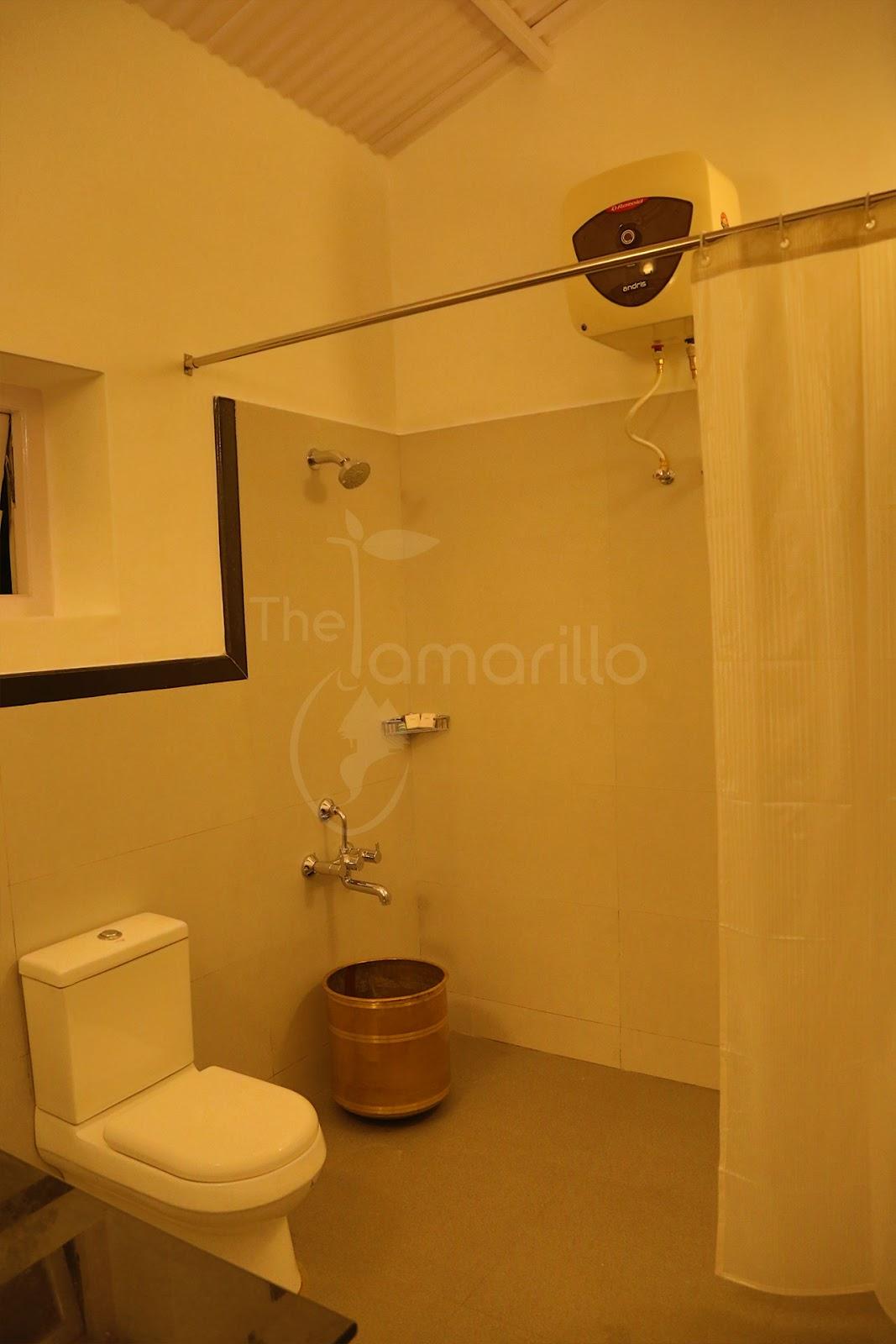 The Tamarillo – photo 4