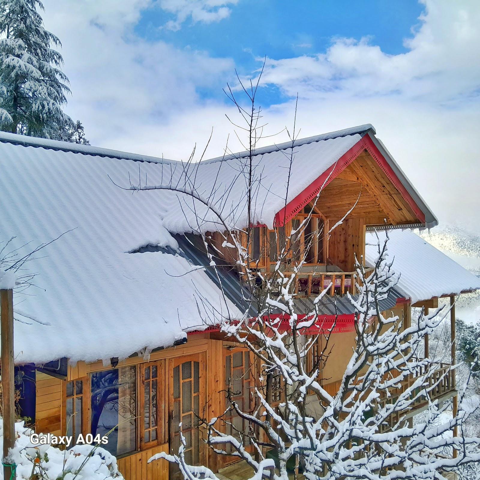 Into the woods Eco lodge – photo 1