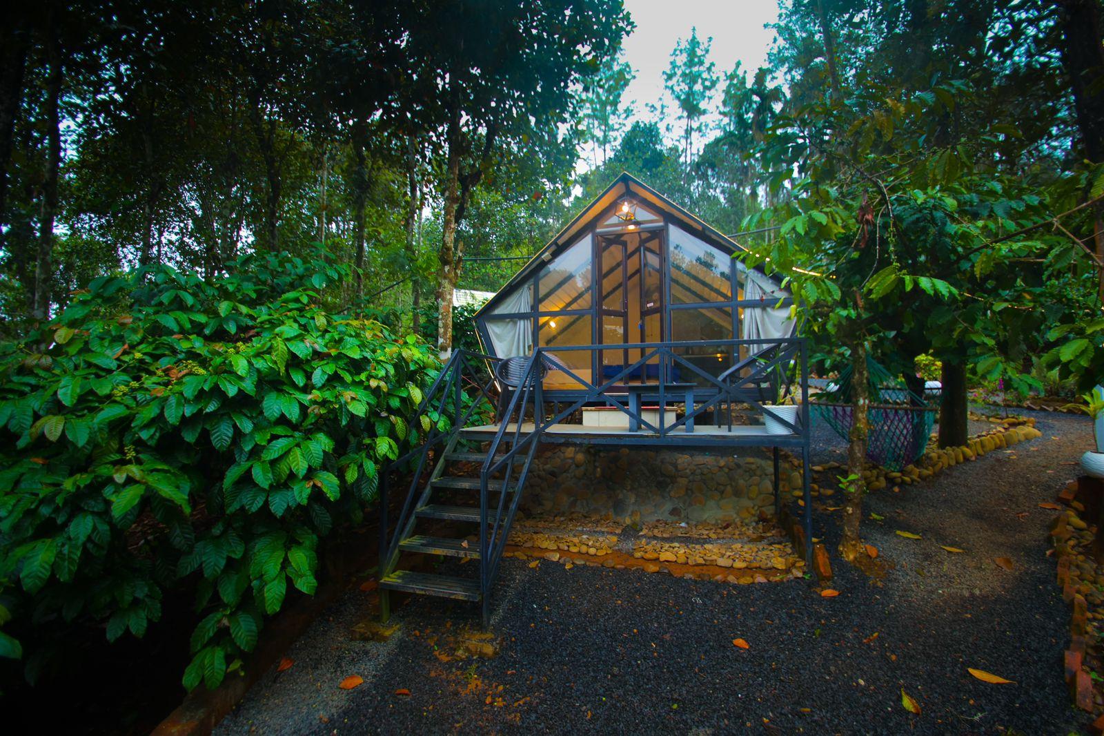 The Cozy Cottage, Wayanad