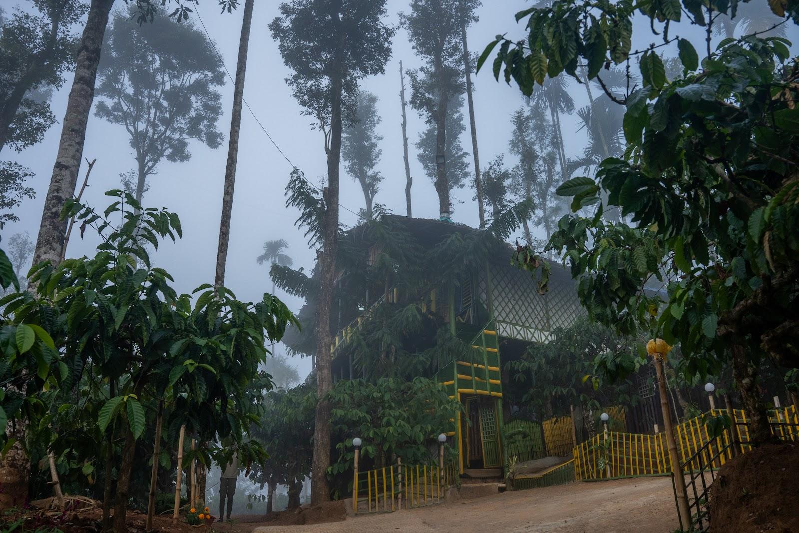 The Mountain Tree Home – photo 3