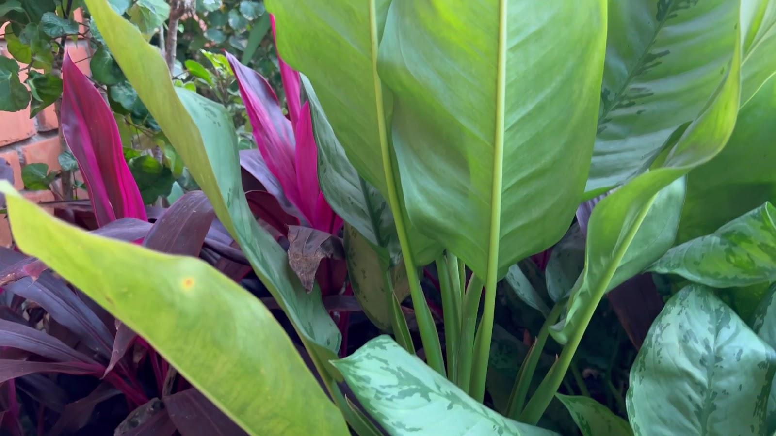 Ganga Kutir – photo 2