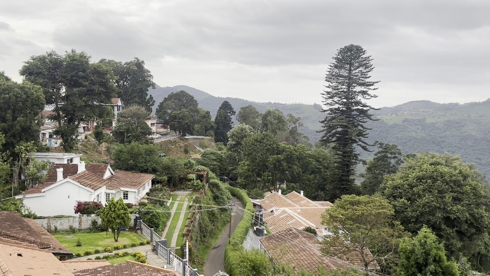 Camellia Heights – photo 2