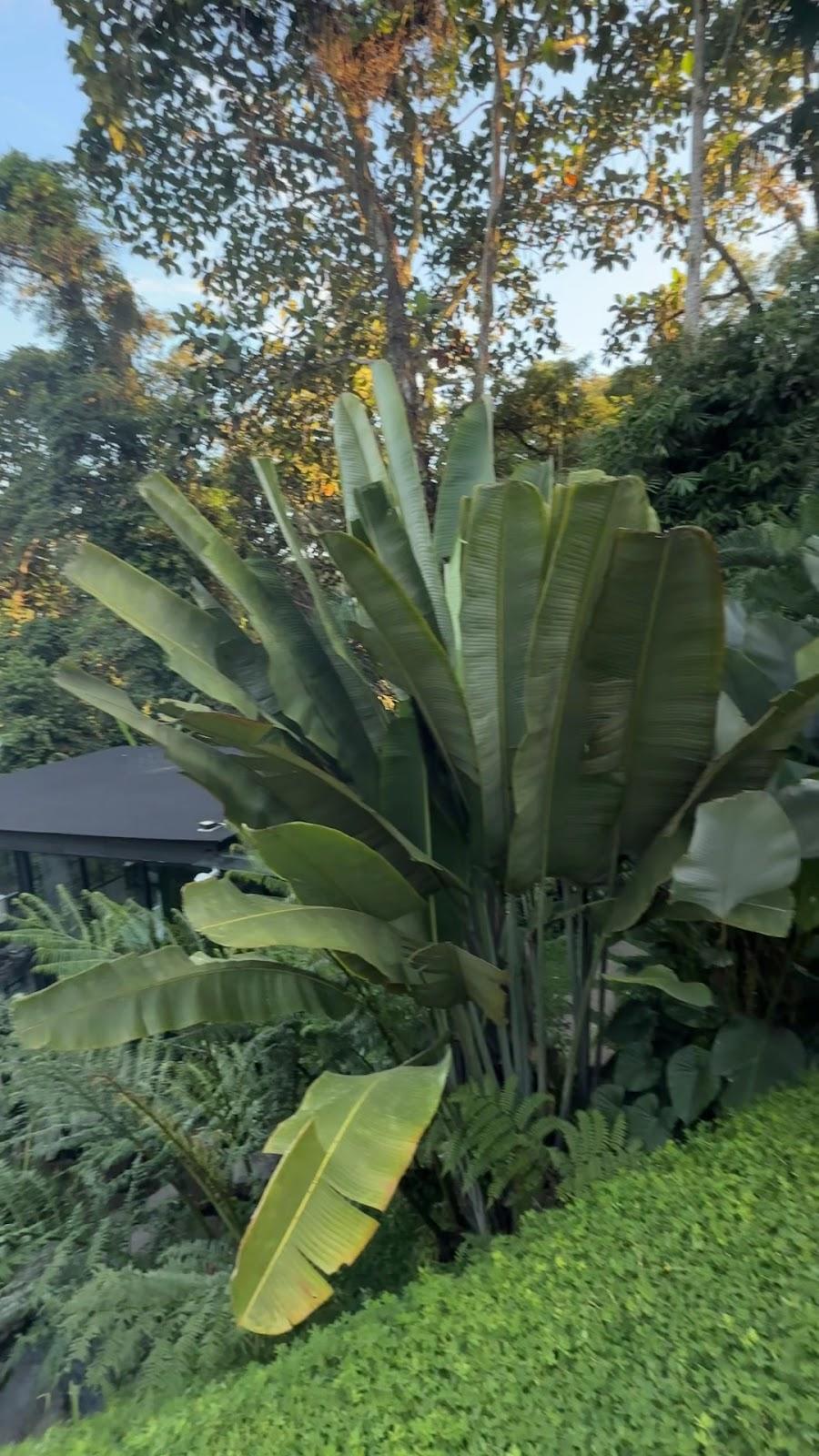 Thermae of Ubud – photo 1
