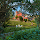 Willow Hill by Nature Resorts and Stays – photo 2