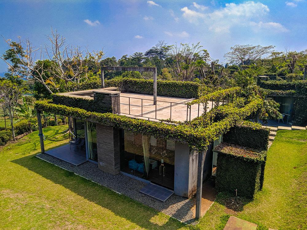 Tea Garden Resort – photo 1