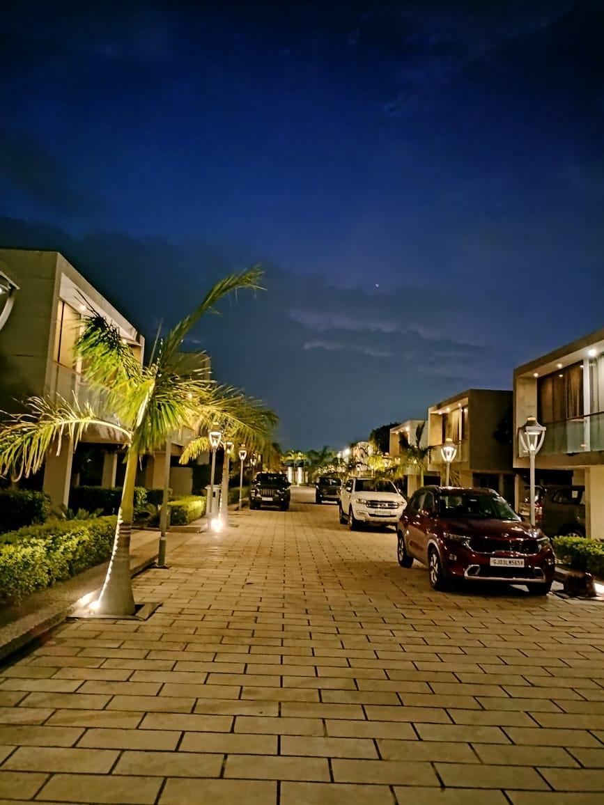 Savan Splendour – photo 2