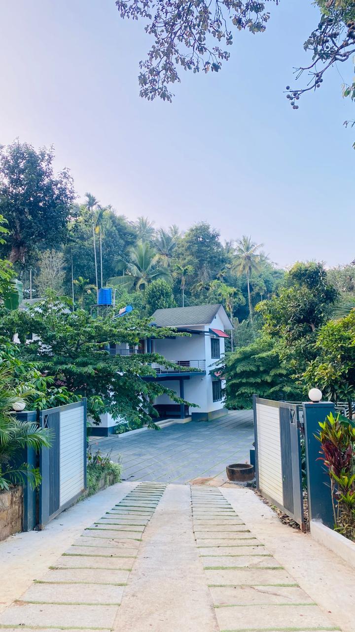 The Wayanad Stays – photo 4
