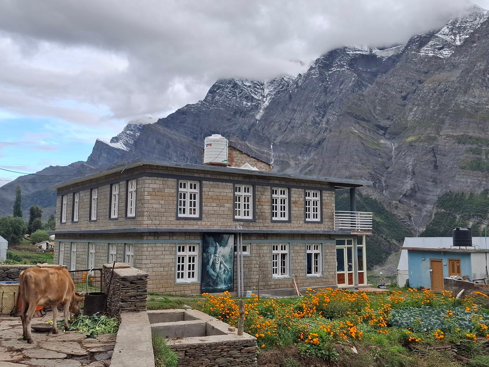 Shashni homestay – photo 1