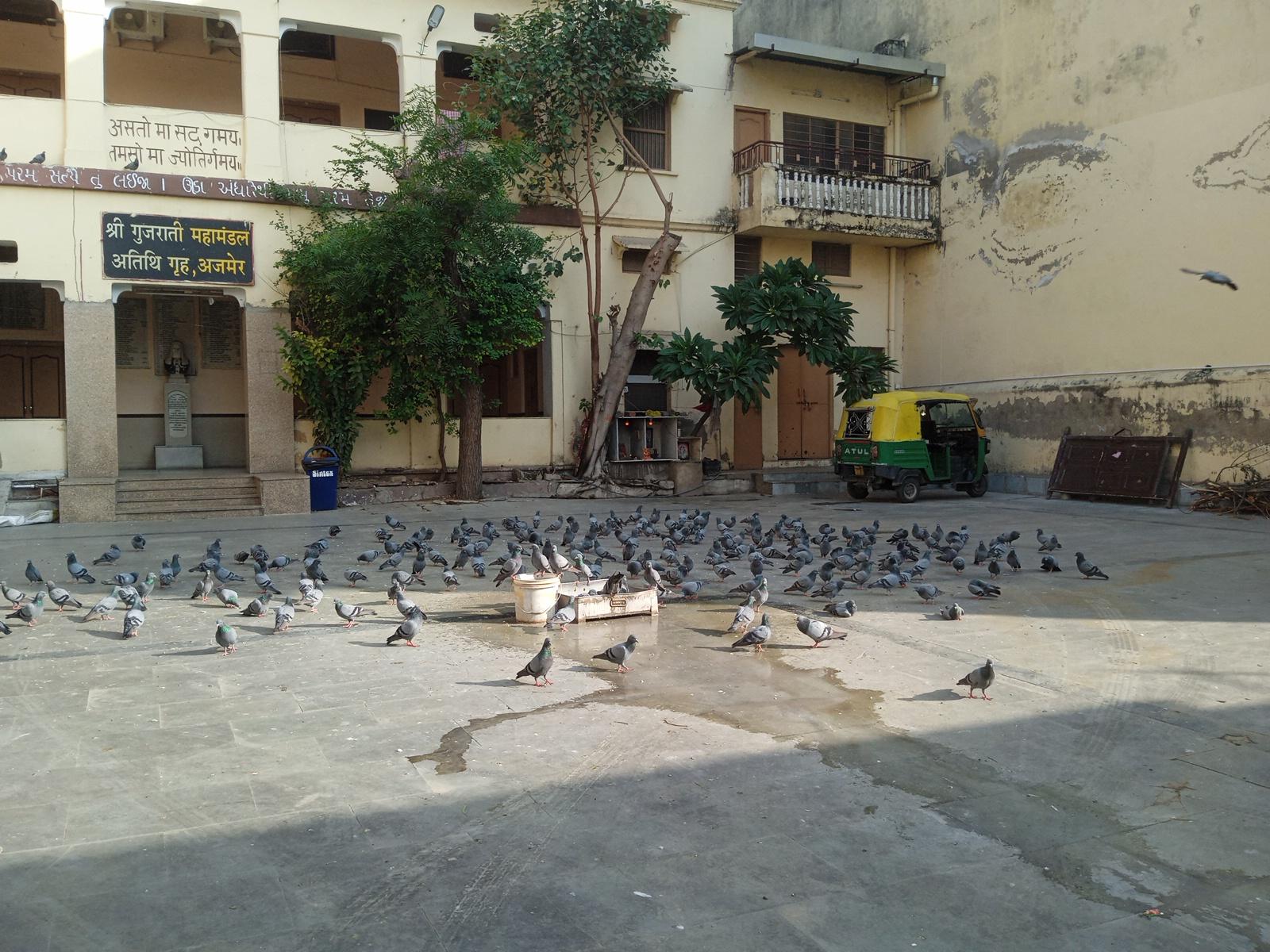 Gujarati Samaj Bhawan Ajmer – photo 4