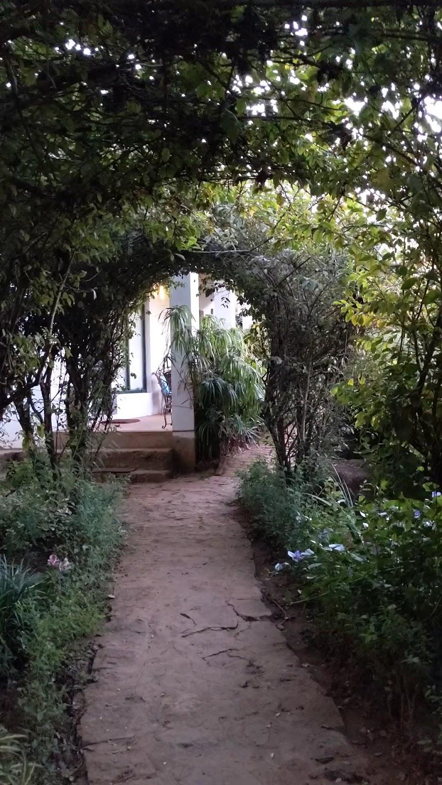 The Tamarillo – photo 2