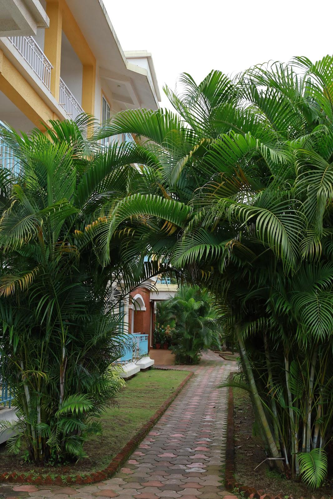 Anjuna Abode – photo 3
