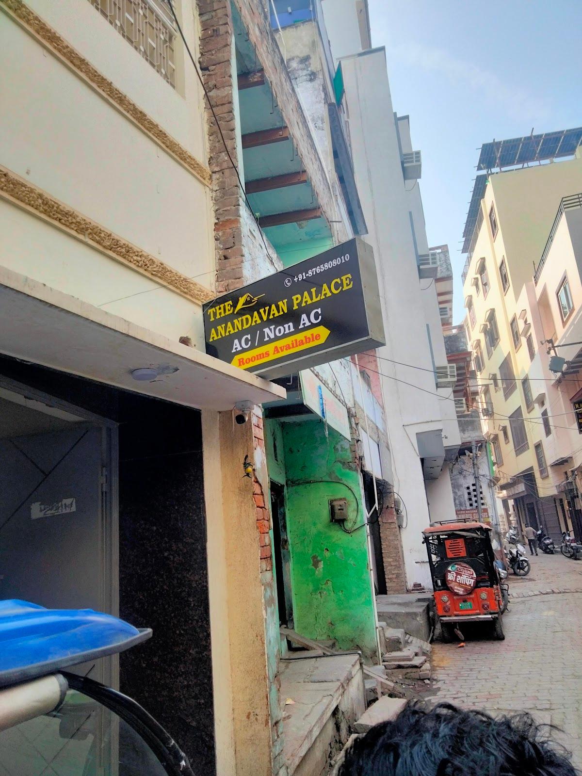 The Anandvan Palace – photo 2