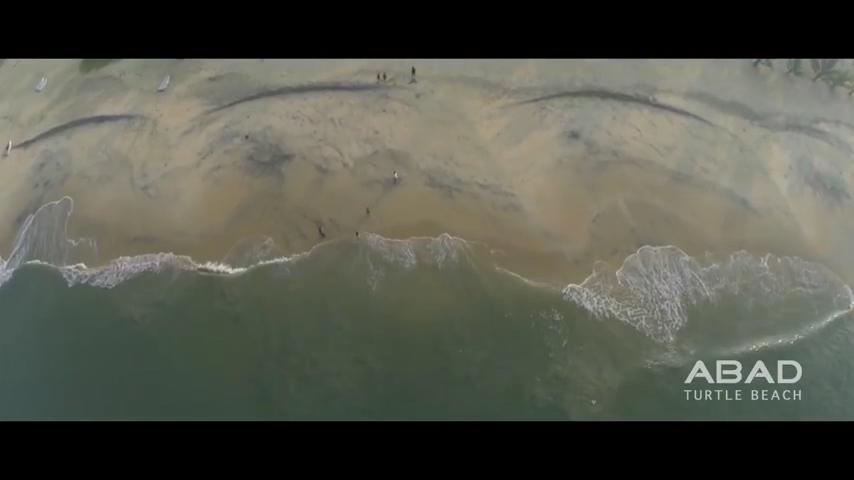 Abad Turtle Beach | Beach Resort Marari Alleppey – photo 2