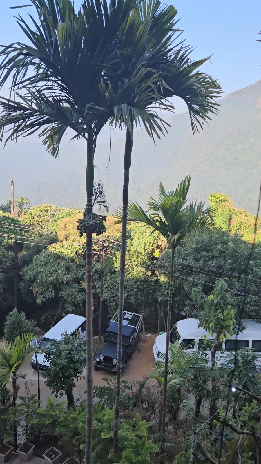 Royal View Resort – photo 2