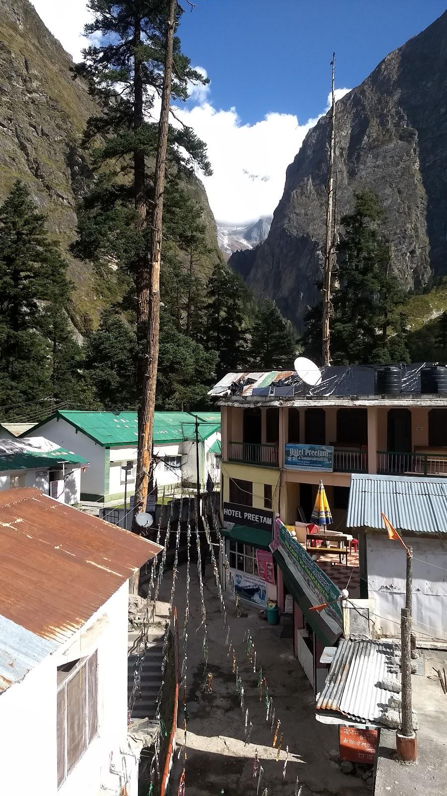 Valley of flowers Camp Ghangria – photo 3
