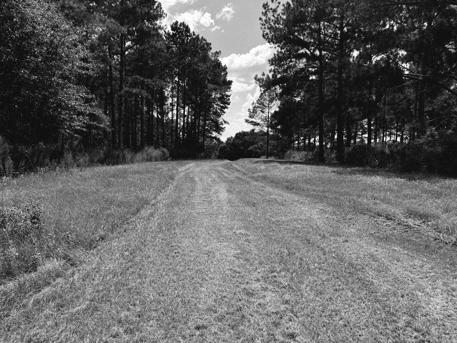 Pondview Acres Campground – photo 4