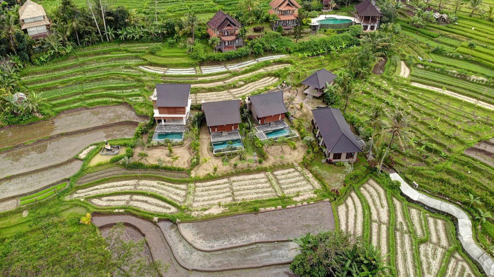 Alamdhari Villa Sidemen