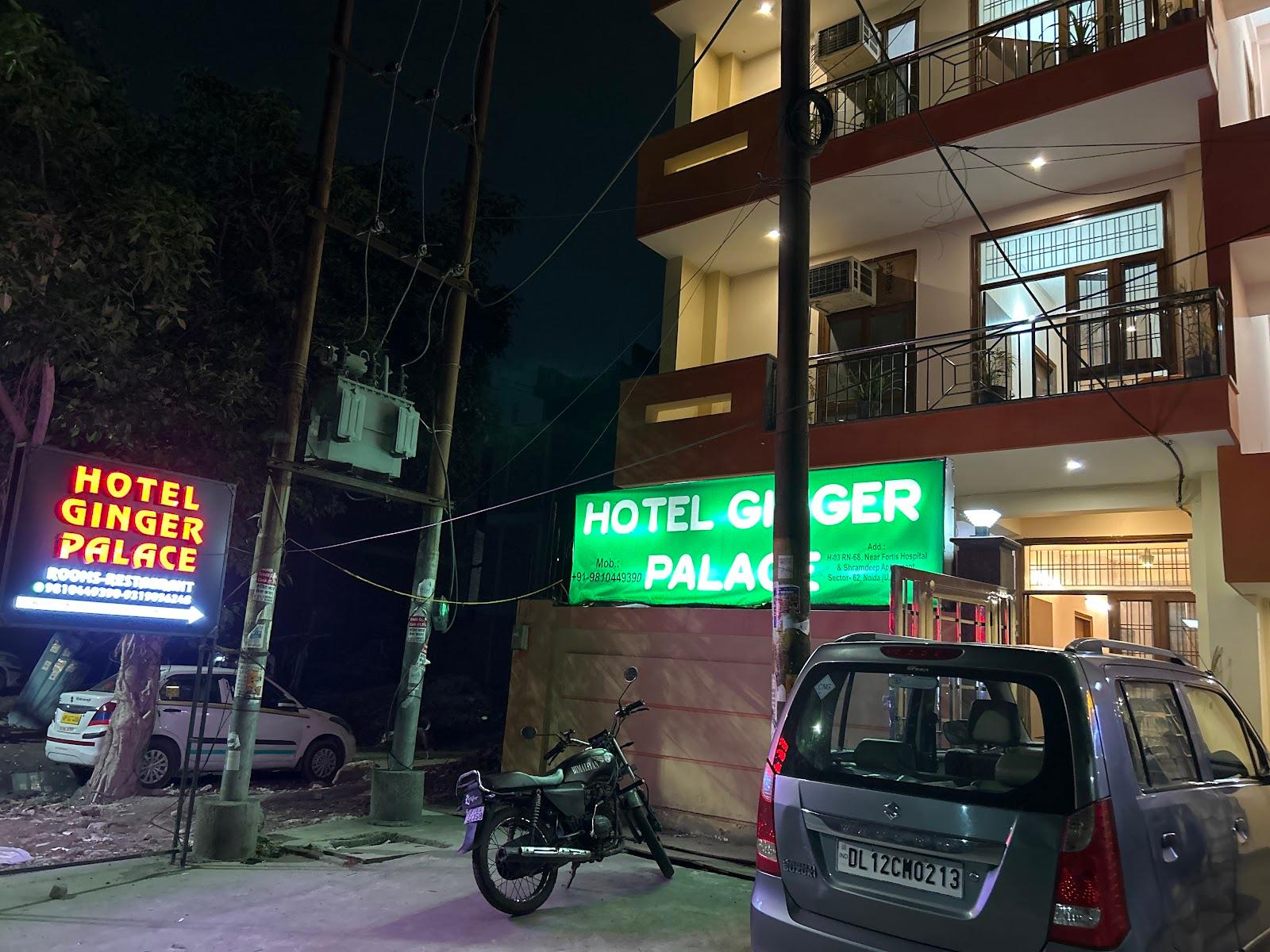 Hotel Ginger Palace By Aura – photo 1