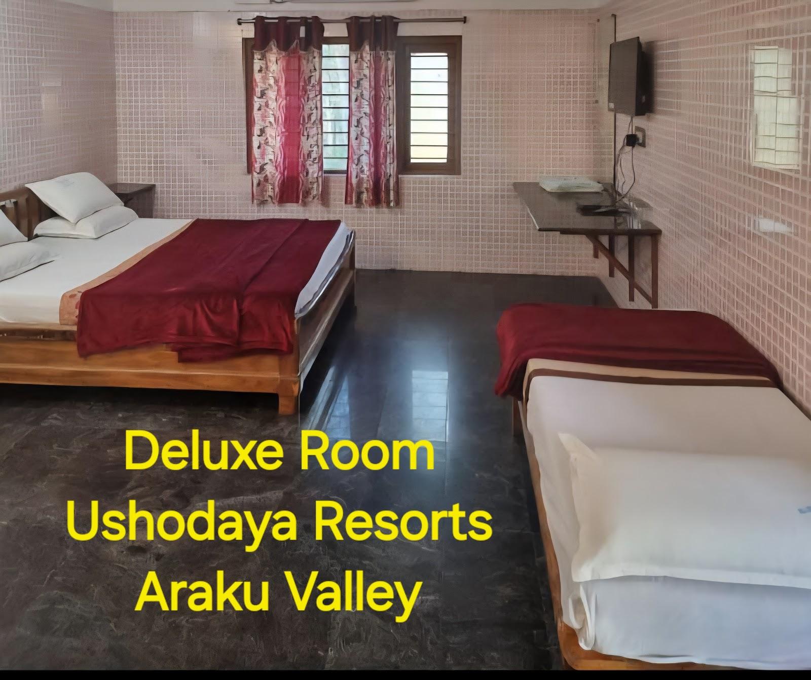 USHODAYA RESORTS – photo 3