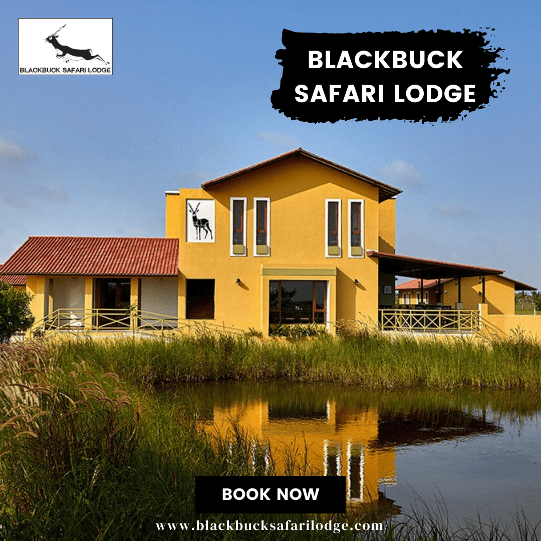 Blackbuck Safari Lodge-Velavadar – photo 1