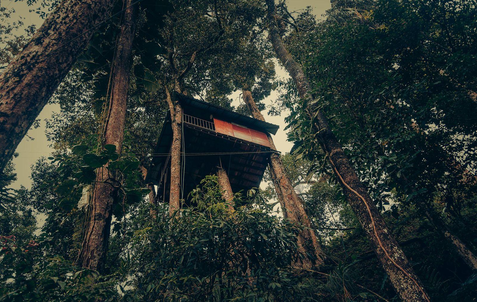 Ela Ecoland Munnar - A Nature Retreat – photo 1