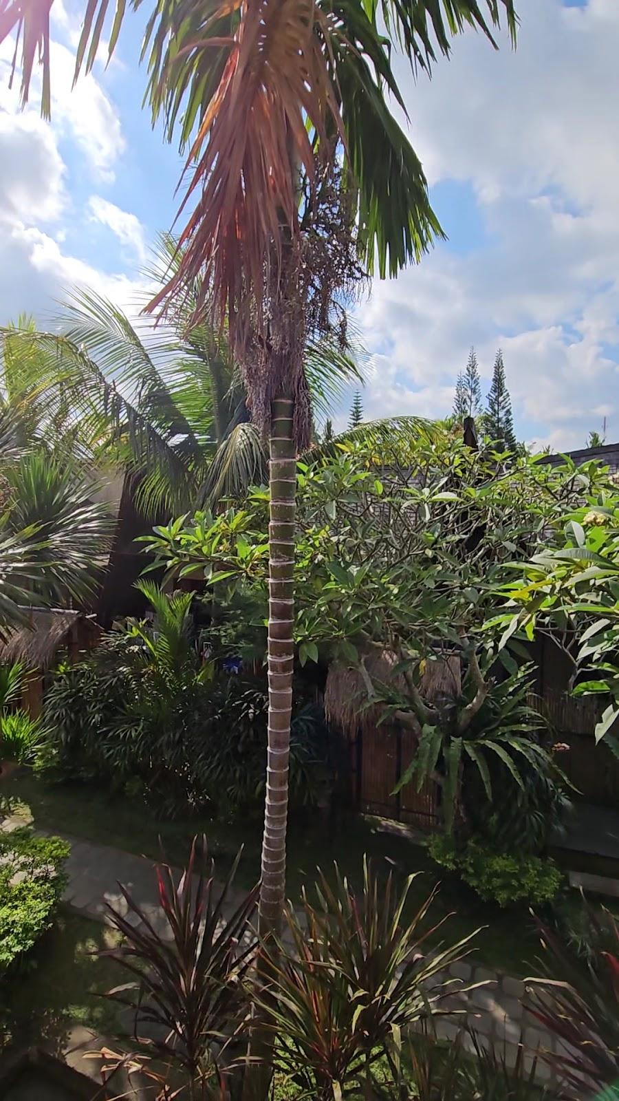 Villa Pondok Massas, Ubud – photo 2