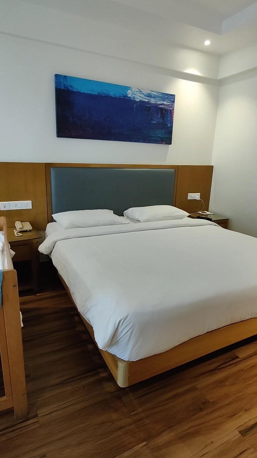 Resort The Lohias, Candolim Goa – photo 2