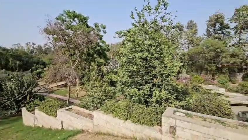 V Resorts Farm Stay Delhi – photo 2