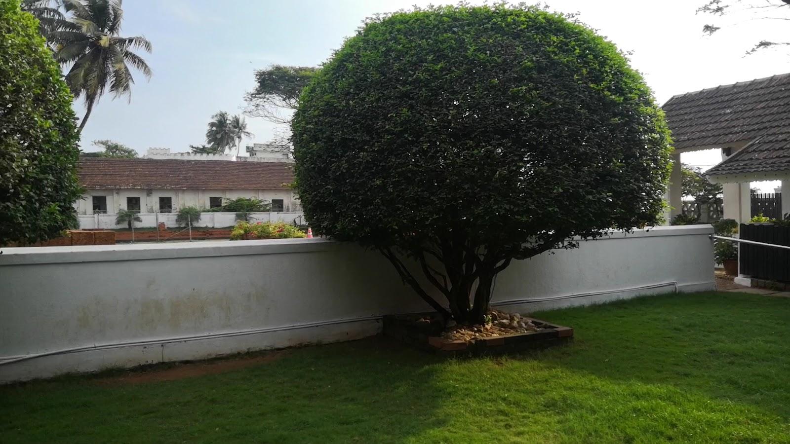 Beach Heritage Inn, 4 Star Hotel – photo 2