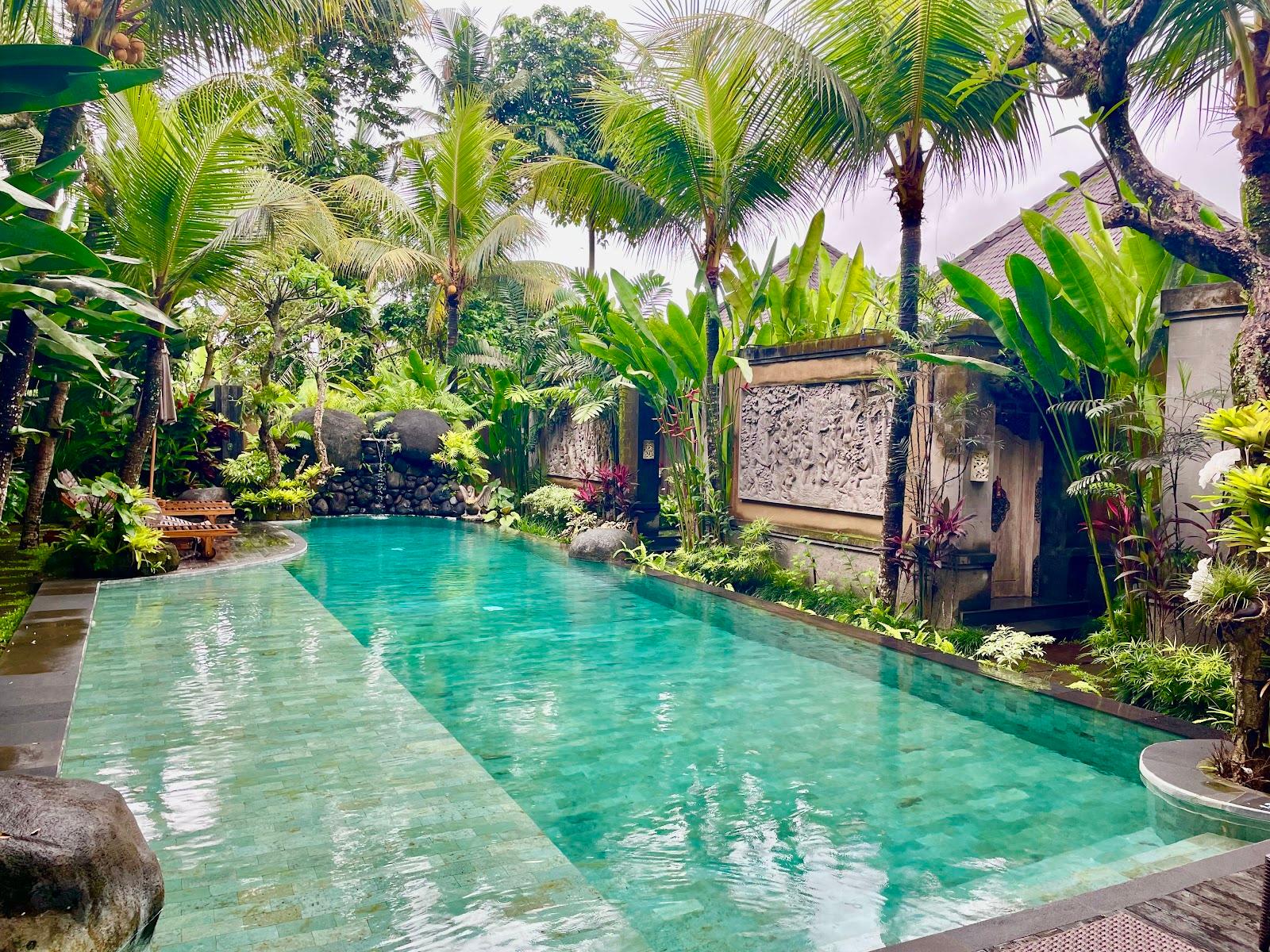 Weda Cita, Ubud – photo 4