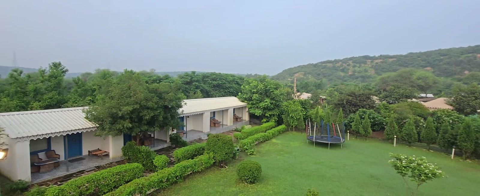 Farm Aravalia Mangar – photo 2
