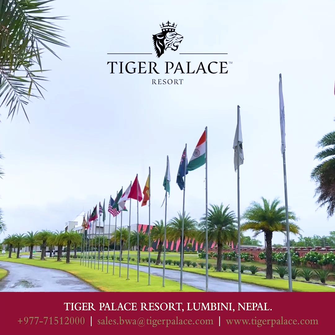 Tiger Palace by Soaltee, Bhairahawa Nepal
