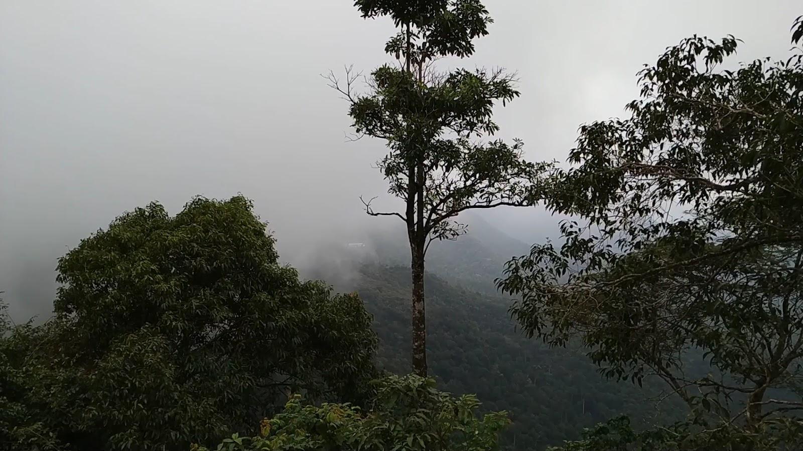 Govt Guest House Ponmudi – photo 2