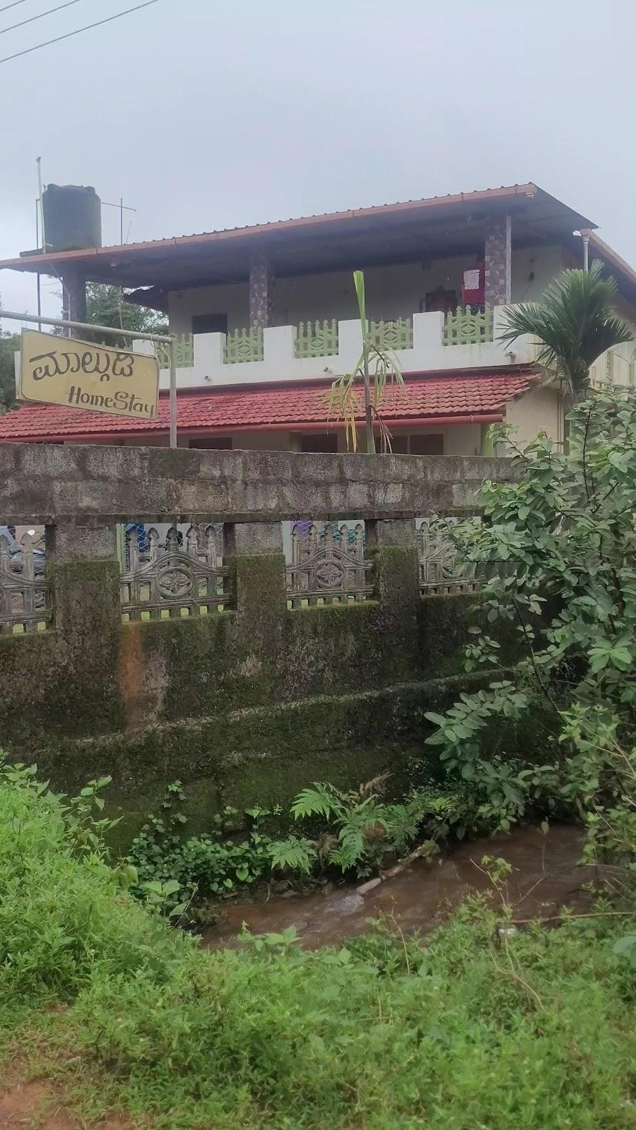 Malgudi Homestay - Agumbe – photo 2