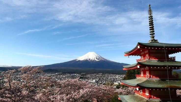 Hostel Fujisan YOU – photo 1