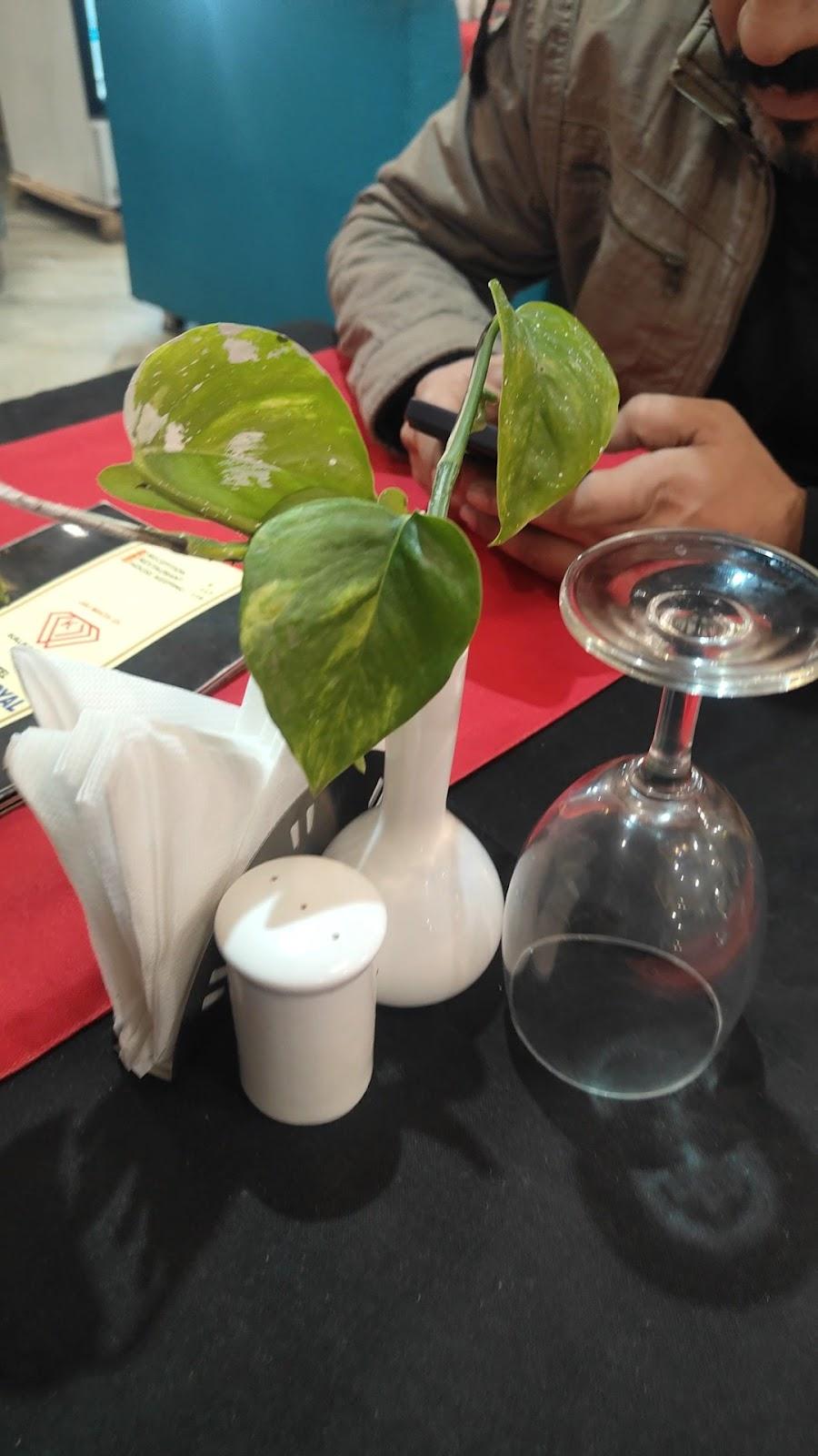 Hotel Kalka Royal – photo 2